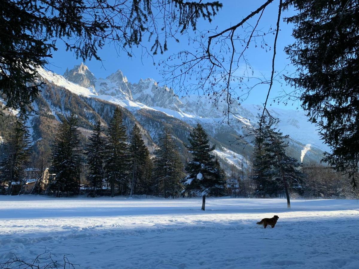 Apartment Maya, La Praz, Chamonix Mont Blanc Bagian luar foto
