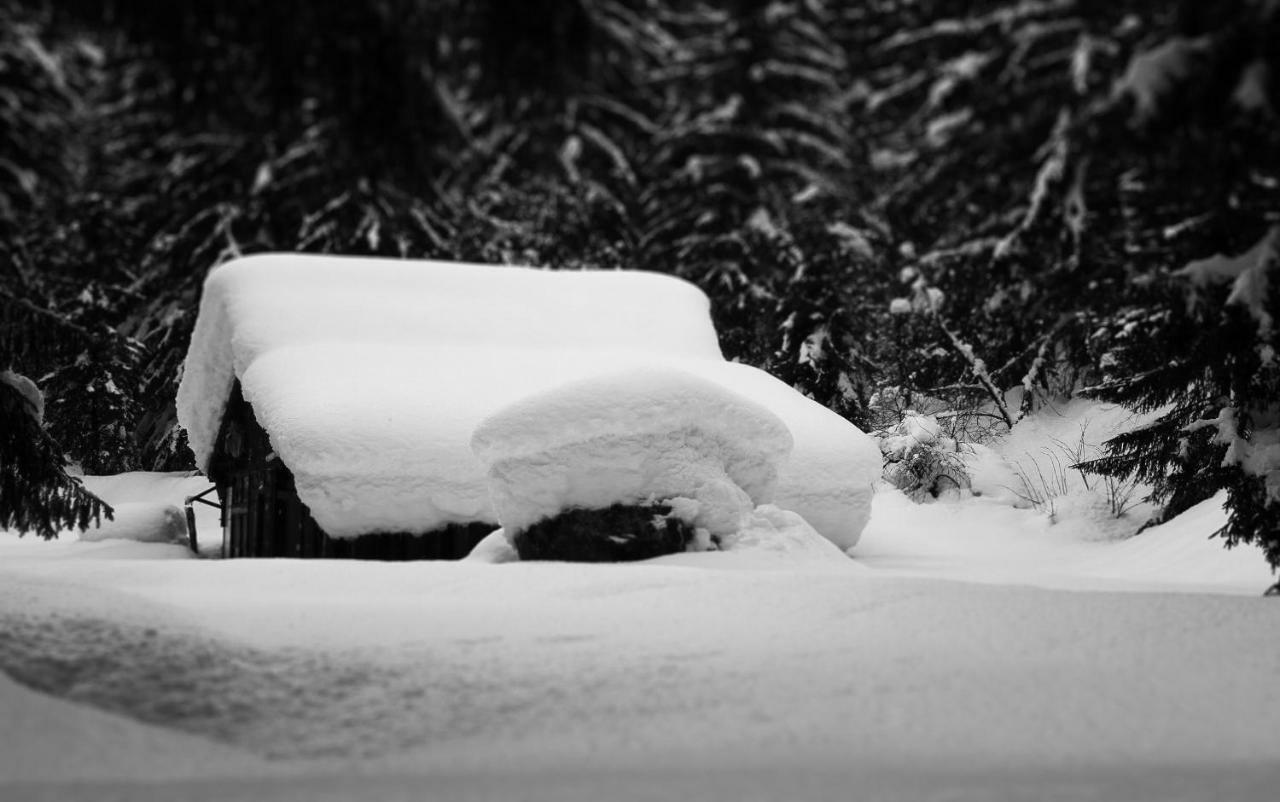 Apartment Maya, La Praz, Chamonix Mont Blanc Bagian luar foto